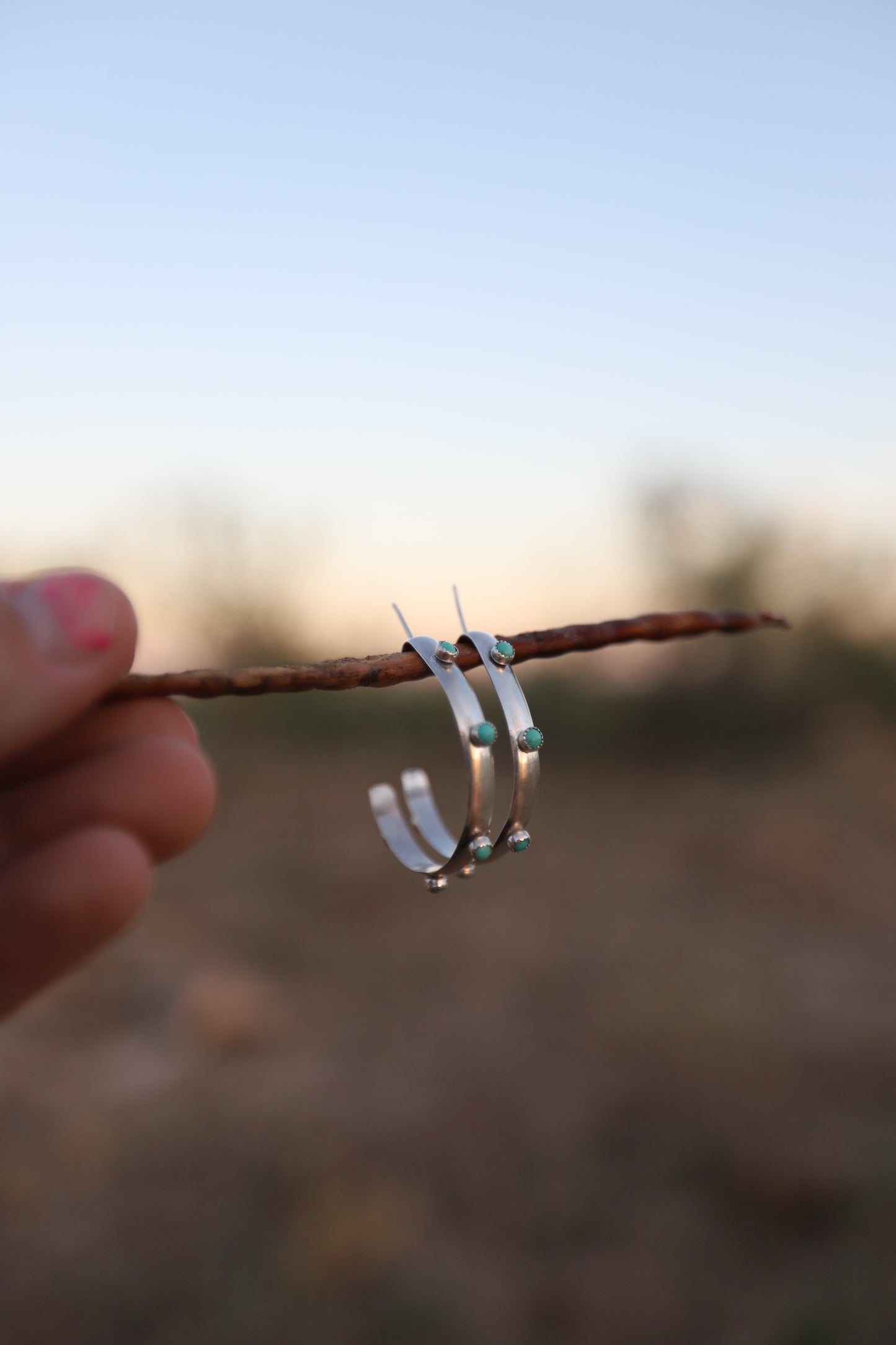 The Wild Roan hoops