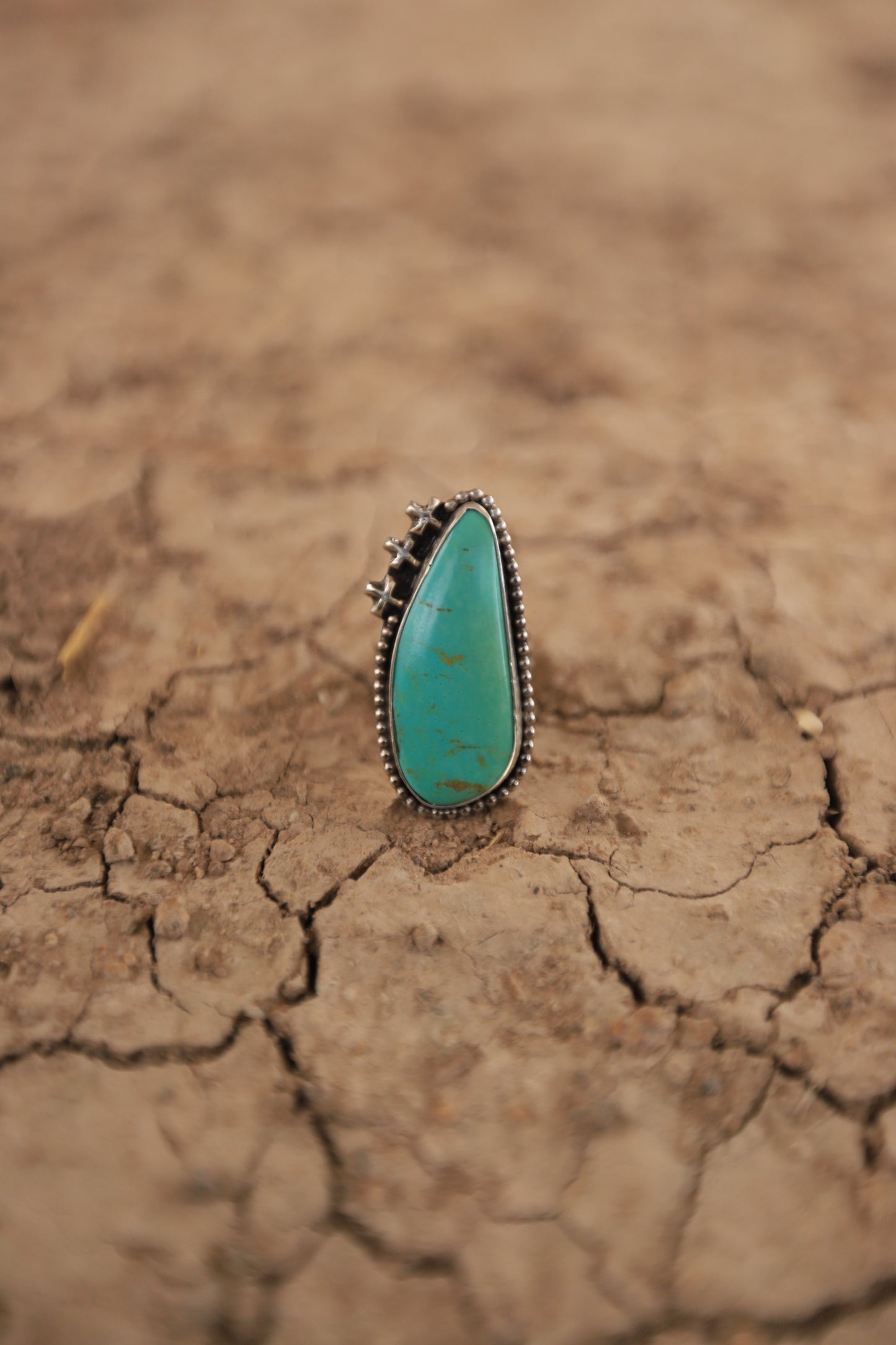 The Santa Fe Ring