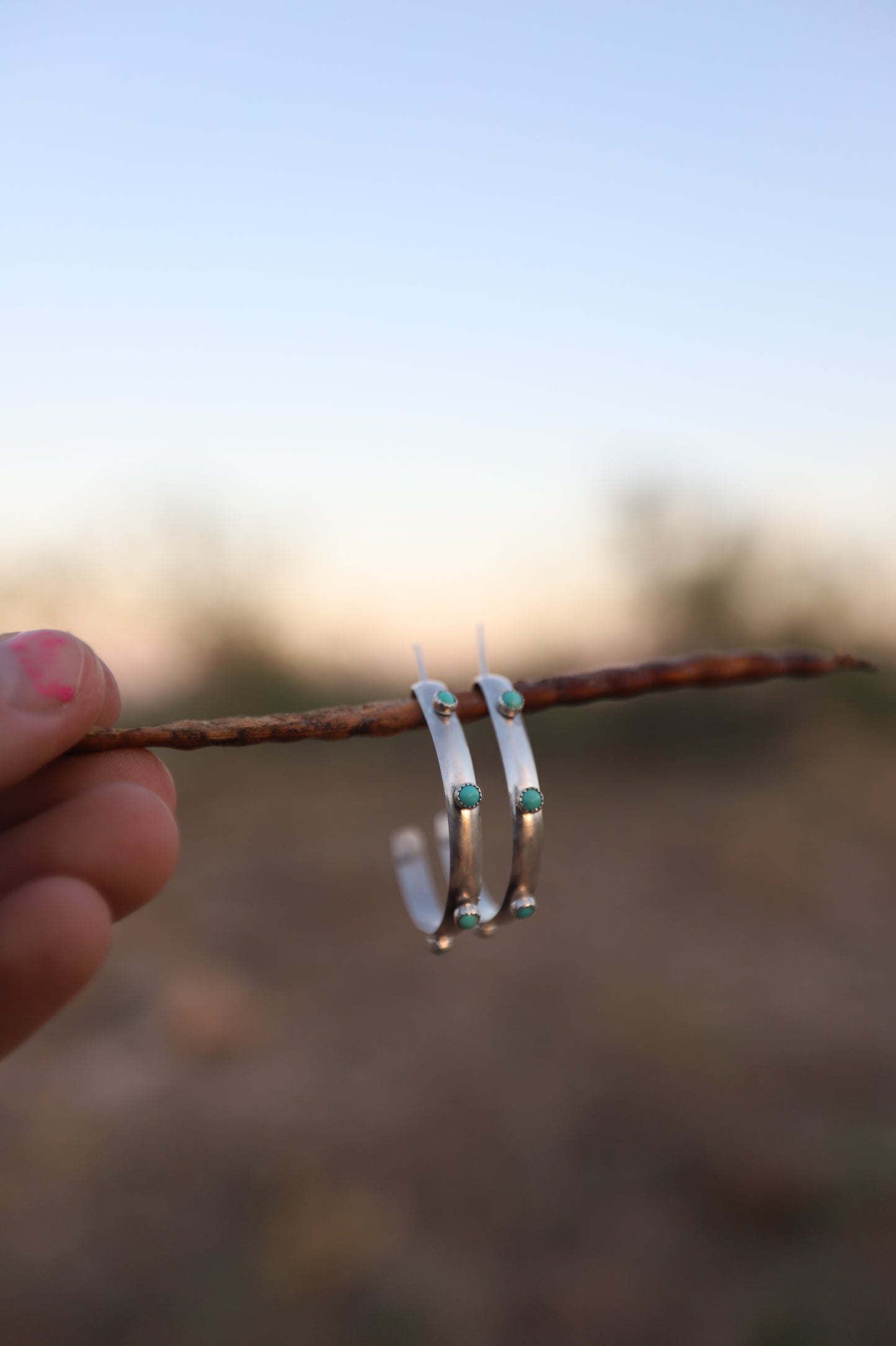 The Wild Roan hoops