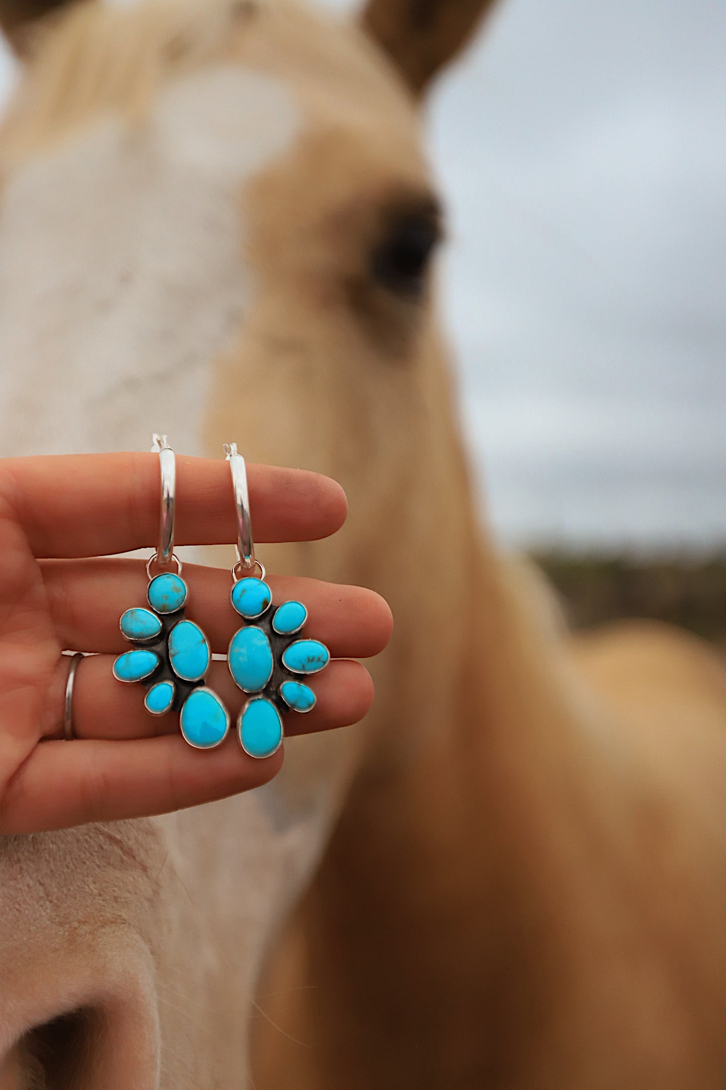The Blue Sky Hoops