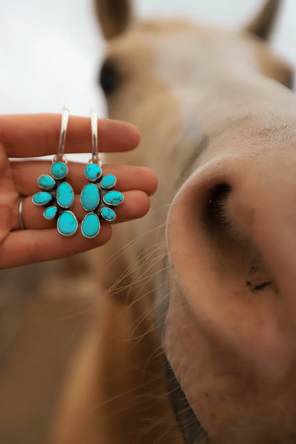 The Blue Sky Hoops